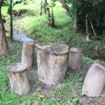 Chácara à venda com 3 quartos, sendo 1 suíte,  em Loteamento Jardim Nova Ibiúna, Ibiúna, SP