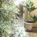 Sobrado à venda com 4 quartos, sendo 2 suítes, em Jardim Peri Peri, São Paulo, SP