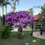 Casa à venda com 3 quartos, sendo 1 suíte, no condomínio Parque da Fazenda, Itatiba - SP