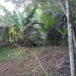 Chácara à venda com 5 quartos, sendo 1 suíte, em Jardim Marabá, Itapetininga, SP