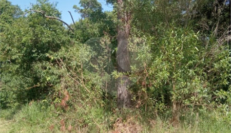 Terreno à venda em Saboó, São Roque, SP