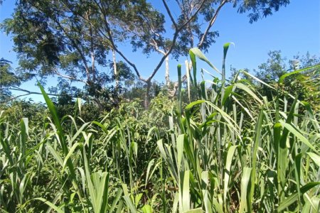 Terreno à venda em Caravelas, Armação dos Búzios, RJ