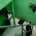Casa Térrea à venda com 6 quartos em Jardim Rosana, São Paulo, SP