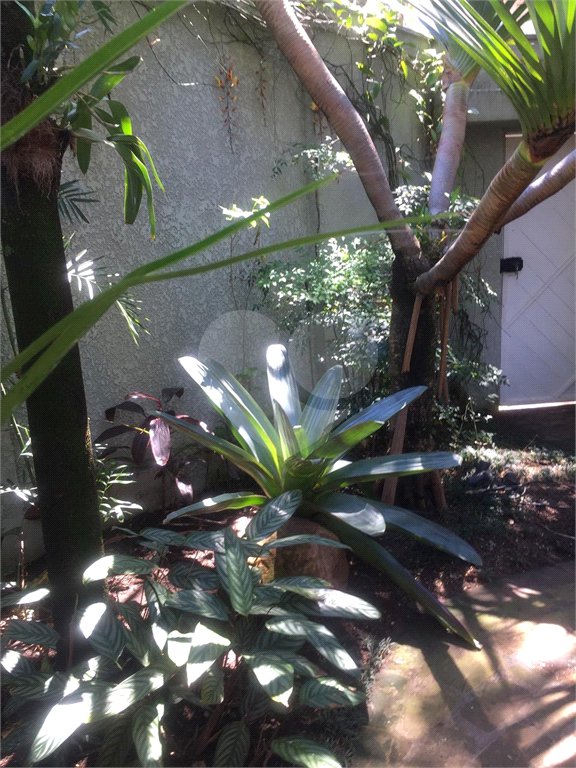 Sobrado à venda com 4 quartos, sendo 1 suíte, em Jardim Novo Mundo, São Paulo, SP