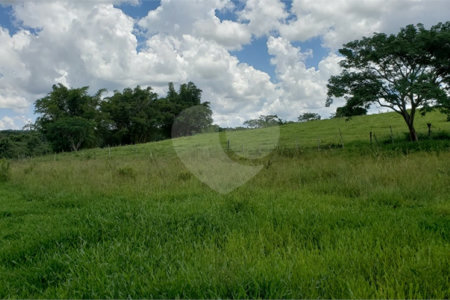 Sitio para venda.