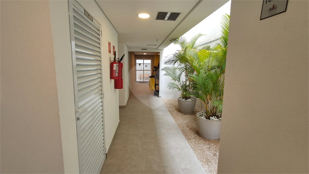Apartamento à venda ou para alugar com 1 suíte em Vila Paulicéia, São Paulo, SP