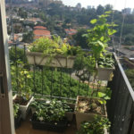 Apartamento à venda com 2 quartos em Vila Progredior, São Paulo, SP