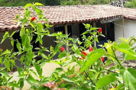 Chácara à venda com 4 quartos no Centro, São José dos Campos, SP