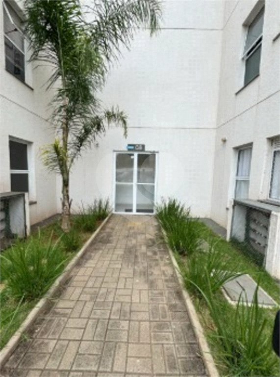 Apartamento à venda com 2 quartos em Jardim dos Ipês, Sumaré, SP