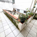 Casa com 3 dormitórios à venda, 119 m² por R$ 689.000,00 - Pompéia - Santos/SP