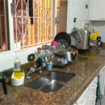 Casa à venda com 3 suítes no condomínio Vila Maria, São Paulo - SP
