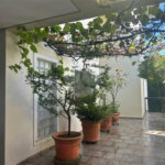 Casa à venda com 5 quartos, sendo 4 suítes, em Butantã, São Paulo, SP
