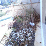 Apartamento à venda com 3 quartos, sendo 1 suíte, em Vila Oliveira, Mogi das Cruzes, SP