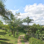 Chácara à venda com 4 quartos, sendo 3 suítes, em Monterrey, Louveira, SP
