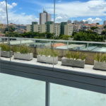 Apartamento à venda com 3 quartos, sendo 2 suítes, em Santa Teresinha, São Paulo, SP
