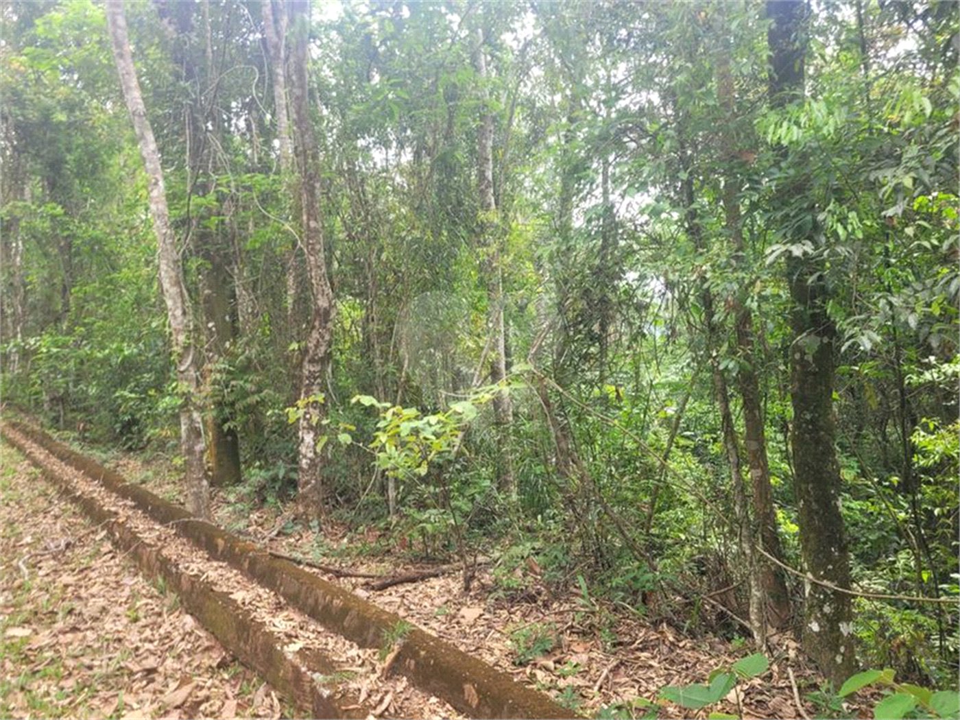 Terreno à venda no condomínio Sausalito, Mairiporã - SP