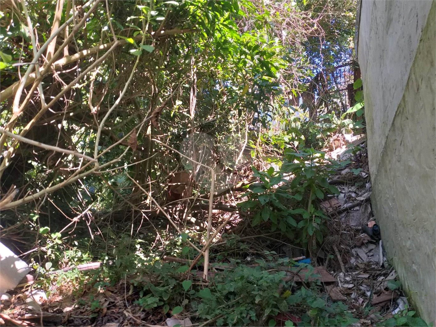 Terreno à venda em Tremembé, São Paulo, SP