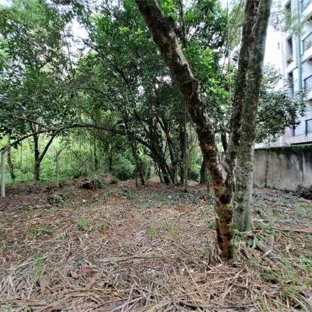 Terreno à venda em Jardim Ampliação, São Paulo, SP
