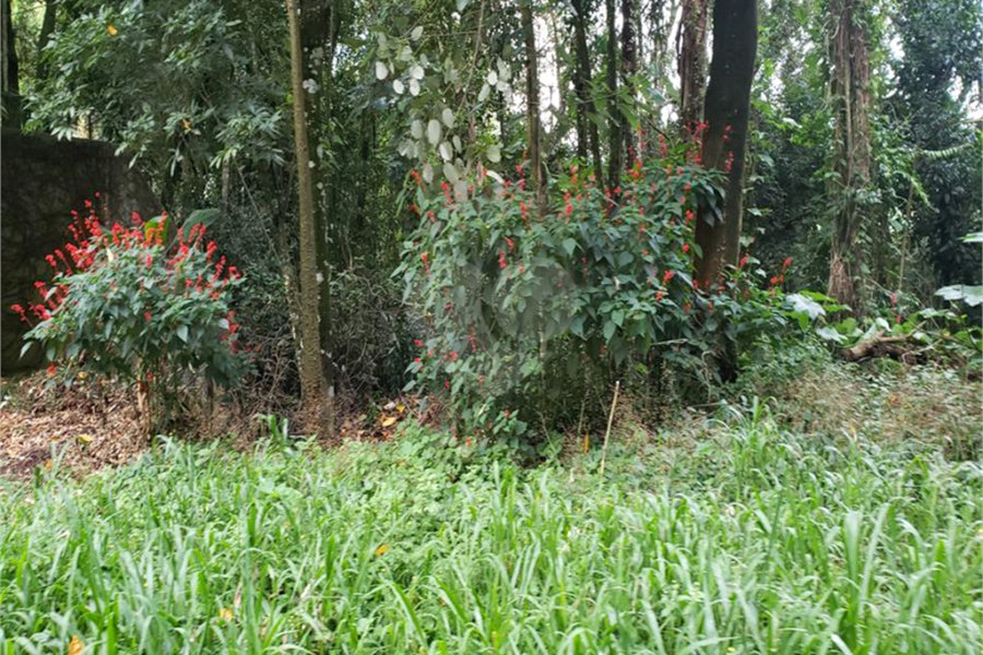 Terreno à venda em Serra da Cantareira, Mairiporã, SP