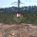 Casa à venda com 2 suítes em Vila Progresso, Itapetininga, SP