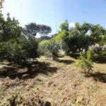 Terreno à venda em Vila Guido, Itu, SP