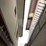 Sobrado à venda com 3 quartos, sendo 1 suíte, em Vila Prudente, São Paulo, SP