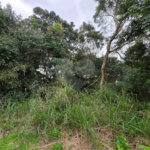 Terreno à venda em Caravelas, Armação dos Búzios, RJ