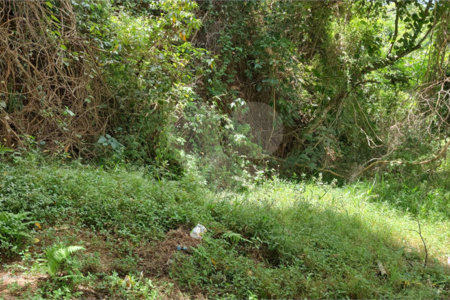 Terreno à venda ou para alugar no Centro, Atibaia, SP