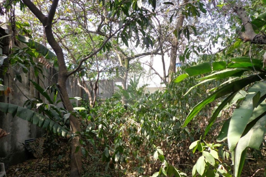 Terreno à venda em Jaçanã, São Paulo, SP