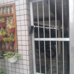 Apartamento Residencial à venda, Itararé, São Vicente - AP1621.