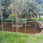 Casa à venda no condomínio Parque Imperial da Cantareira, Mairiporã - SP