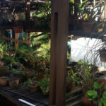 Casa à venda com 3 quartos, sendo 1 suíte, em Butantã, São Paulo, SP