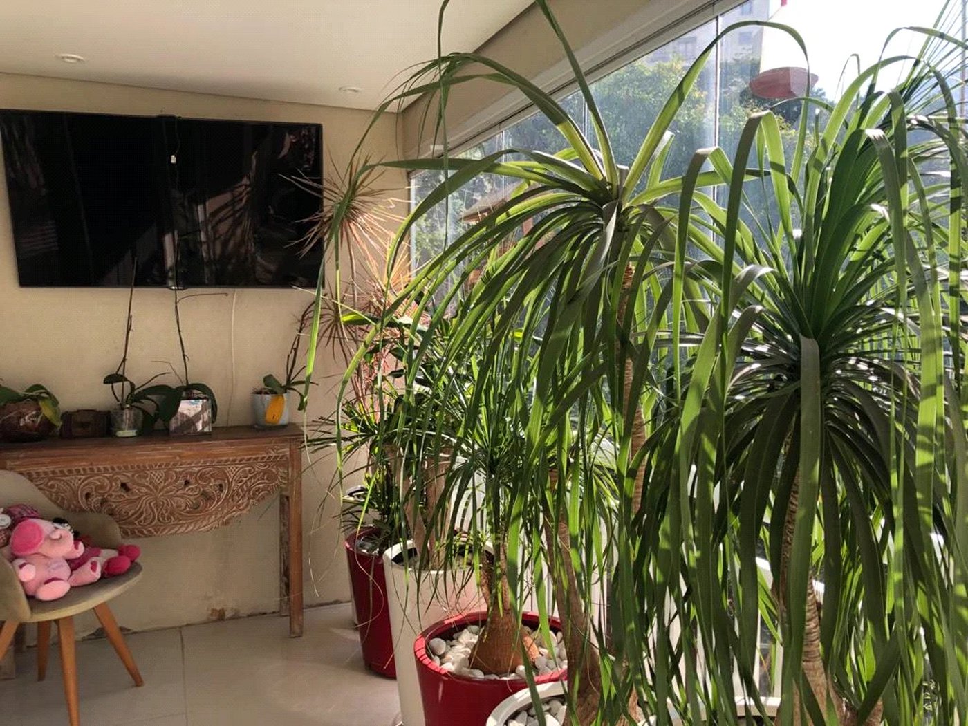 Apartamento à venda com 3 suítes em Lar São Paulo, São Paulo, SP