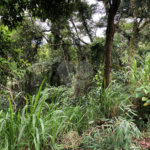 Terreno à venda no condomínio Gleba E2, Mairiporã - SP