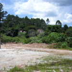 Terreno plano, com 12.000 M² disponivel para construção. Venha fazer uma visita.