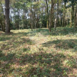Terreno à venda no condomínio Jardim da Montanha I, Mairiporã - SP