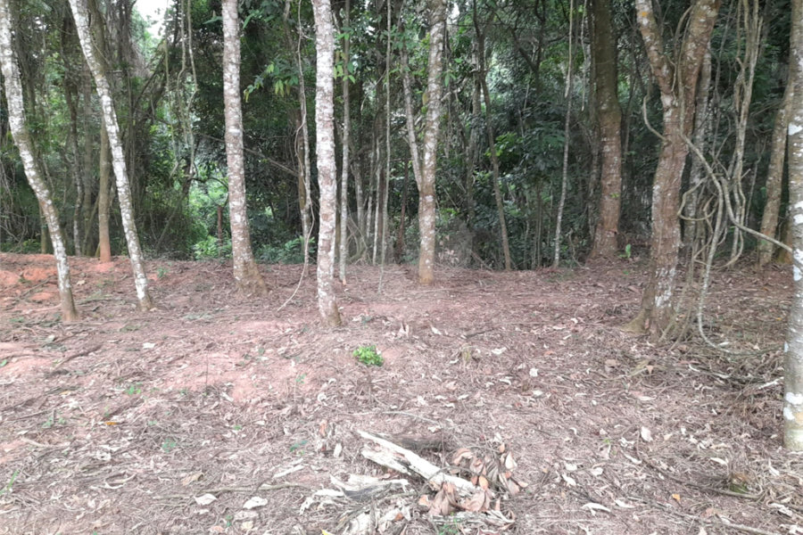 Loteamento à venda em Jardim Peri, São Paulo, SP