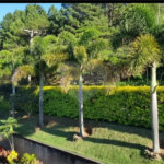 Casa à venda com 4 suítes no condomínio Monte Samkhya, Serra Negra - SP
