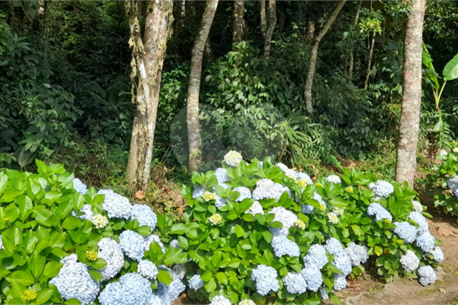 Terreno à venda em Roseira, Mairiporã, SP