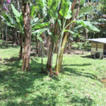 Chácara à venda com 4 quartos, sendo 1 suíte, em Taiaçupeba, Mogi das Cruzes, SP