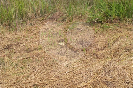 Terreno à venda em Conjunto Residencial Santo Ângelo, Mogi das Cruzes, SP