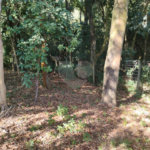 Terreno à venda em Loteamento Vale Azul I, Jundiaí, SP