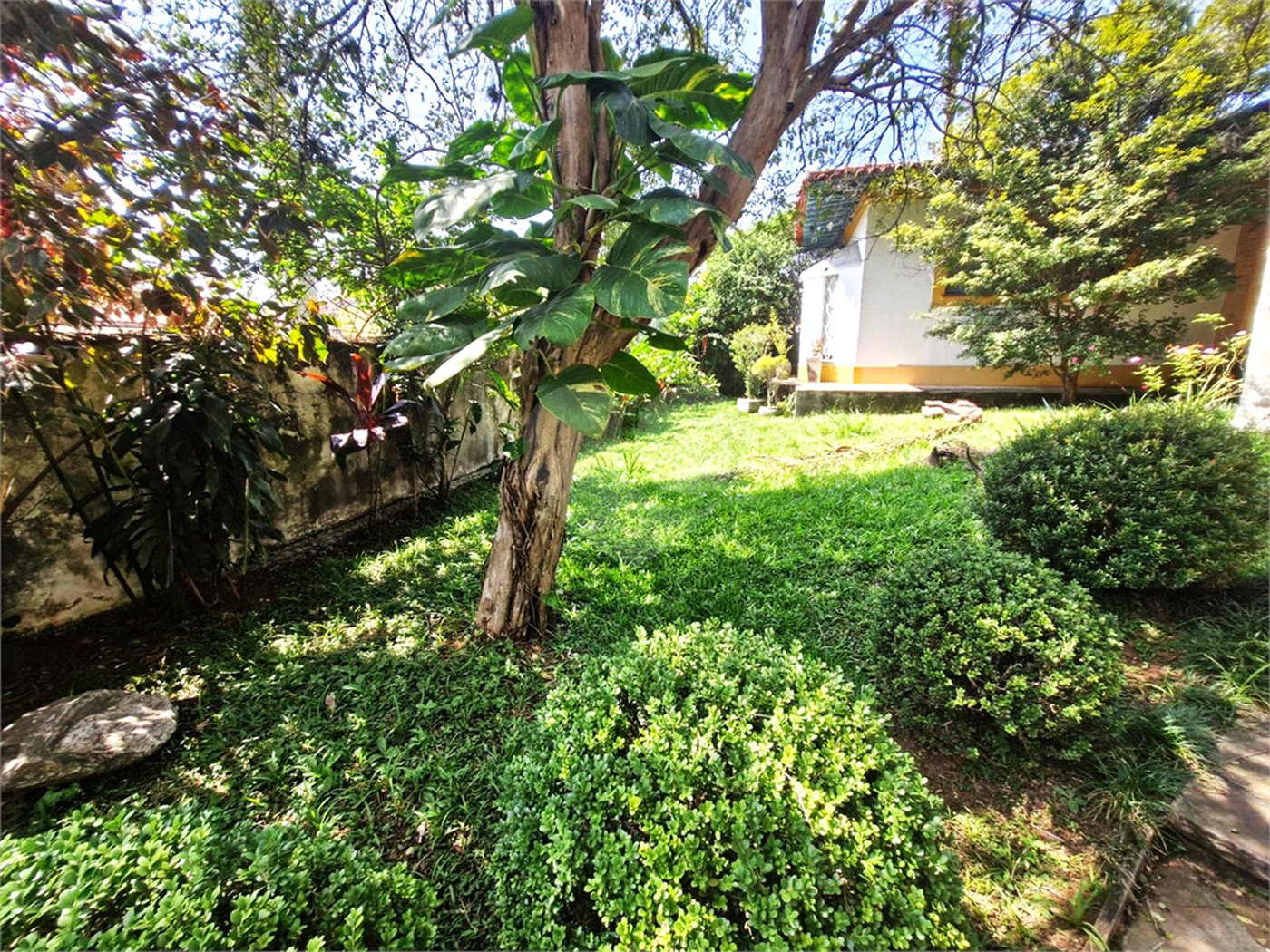 Casa Térrea à venda com 5 quartos em Jardim Petrópolis, São Paulo, SP