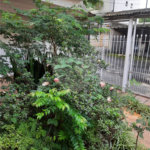 Casa à venda com 4 quartos, sendo 1 suíte, em Jardim Trussardi, São Paulo, SP
