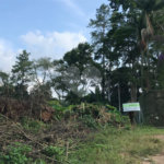 Terreno à venda em Serra da Cantareira, Mairiporã, SP