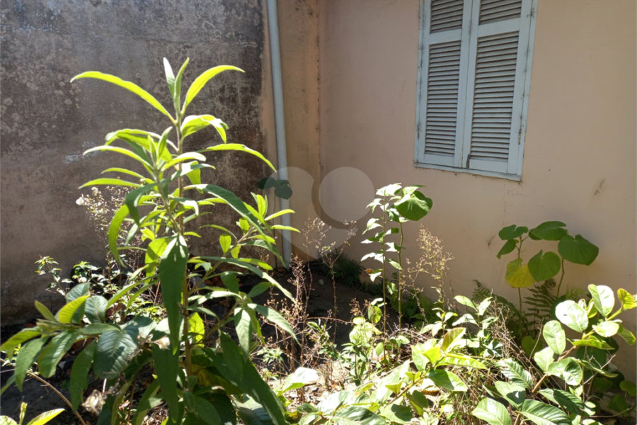 Terreno à venda em Vila Albertina, São Paulo, SP