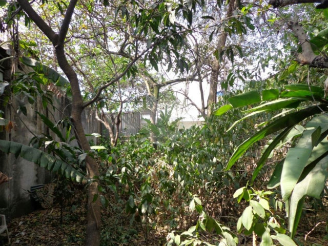 Terreno à venda em Jaçanã, São Paulo, SP