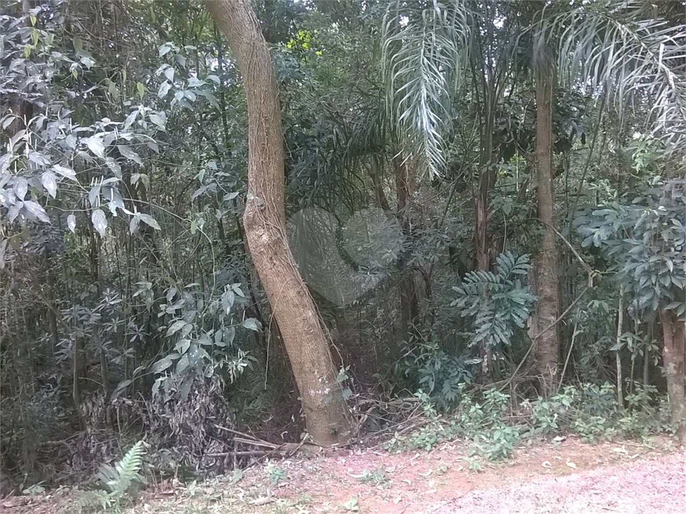 Terreno à venda em Serra da Cantareira, Mairiporã, SP