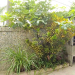 Sobrado à venda com 3 quartos, sendo 2 suítes, em Santana, São Paulo, SP