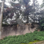 Terreno à venda em Tremembé, São Paulo, SP